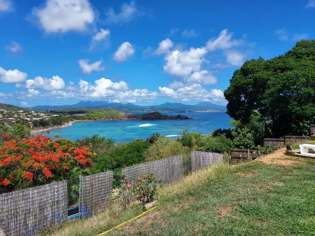 La Villa Caribeenne De La Plage Des Surfeurs La Trinite Εξωτερικό φωτογραφία