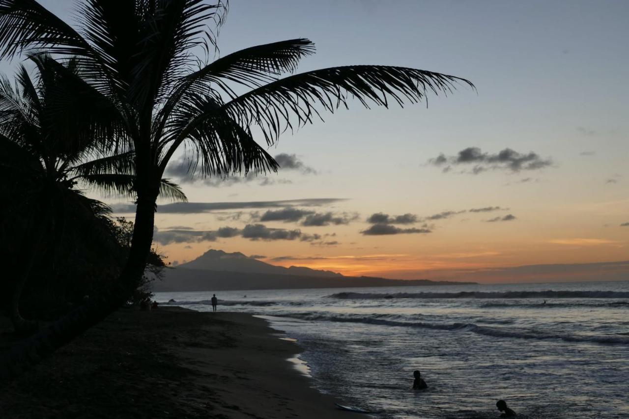 La Villa Caribeenne De La Plage Des Surfeurs La Trinite Εξωτερικό φωτογραφία